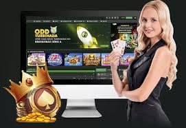 3666bet apk